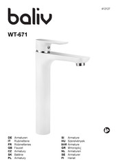 baliv WT-671 Instruction Manual