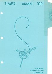 Timex 100 Service Manual