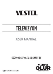 VESTEL 65Q9900 User Manual