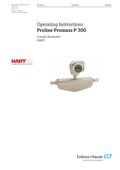 Endress+Hauser Proline Promass P 300 Operating Instructions Manual