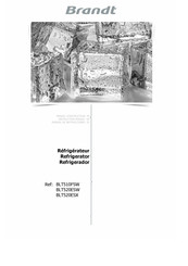 Brandt BLT520ESX Instruction Manual