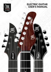 Mayones Regius Core User Manual