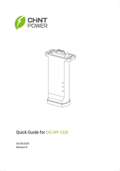 Chint Power DG-WF-CEB Quick Manual