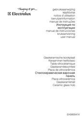 Electrolux EHS60041X User Manual