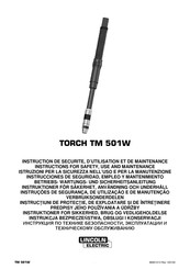 Lincoln Electric TM 501W Instructions For Safety, Use And Maintenance