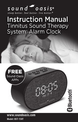 Sound Oasis BST-150T Instruction Manual