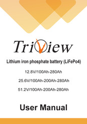 TRIVIEW 12.8V/100Ah-280Ah User Manual
