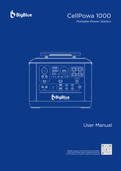 BigBlue CP1000 User Manual