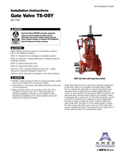 Watts AMES TS-OSY FxF 2 1/2 Installation Instructions Manual