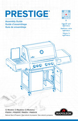 Napoleon P500VXRSIB-PHM Assembly Manual