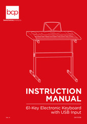BCP SKY5138 Instruction Manual