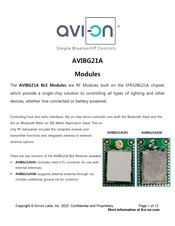 AVION AVIBG21A Manual