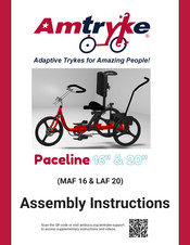 AmTryke Paceline 16
