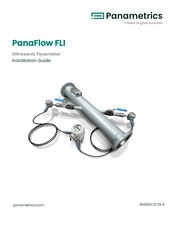 Panametrics PanaFlow FLI Installation Manual