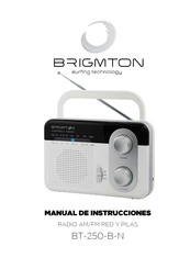 Brigmton BT-250-B-N Instruction Manual