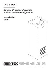 Britex DSSR Installation Manual
