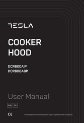 Tesla DCR600ABP User Manual