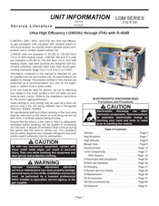 Lennox LGM036U Unit Information
