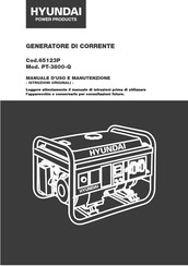 Hyundai Power Products PT-3800-Q Instruction Manual