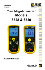 Chauvin Arnoux AEMC Instruments True Megohmmeter 6528 User Manual