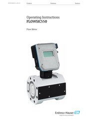 Endress+Hauser FLOWSIC550 Operating Instructions Manual
