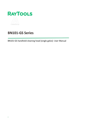 Raytools BN101-GS Series User Manual