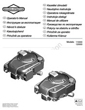 Briggs & Stratton PROFESSIONAL SERIES 110000 Operator's Manual