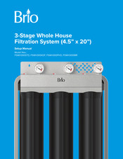 Brio FSWH300STD Setup Manual