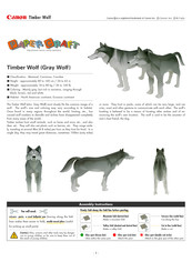 Canon Paper Craft Timber Wolf Assembly Instructions