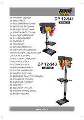 Femi DP 12-941 User Manual