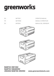 GreenWorks GBA80250 Operator's Manual