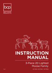 BCP SKY7804 Instruction Manual