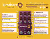 Chase Bliss Audio Brothers AM Manual