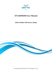 Ebyte E76-2G4M20S User Manual