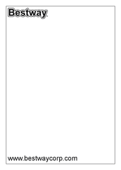 Bestway FLOWCLEAR 58700 Owner's Manual