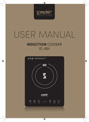 Zepter IC-001 User Manual