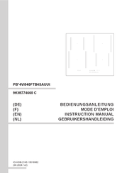Amica PB 4VI540FTB4SAUUt Series Instruction Manual