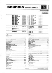 Grundig Athen T 655 a text Service Manual