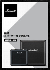 Marshall Amplification 2551AV Manual