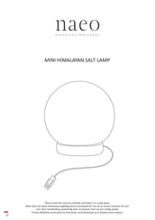 naeo GD-W20 Manual