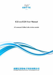 Ebyte E22-900T22S User Manual