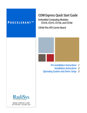 RadiSys Procelerant CE738 Quick Start Manual