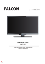 Falcon FN-TV19-S Quick Start Manual