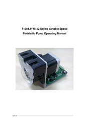 Baoding Longer Precision Pump T100-S10&JY15-12-A Operating Manual