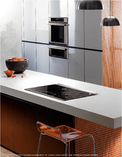 Thermador Masterpiece CES366FS Product Information