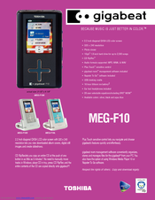 Toshiba gigabeat MEG-F10K Specifications