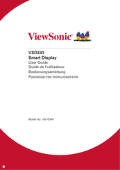 ViewSonic VSD243 User Manual