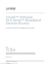Juniper JUNOSE SOFTWARE FOR E SERIES 11.3.X - IP-IPV6-IGP CONFIGURATION GUIDE 2010-10-31 Configuration Manual
