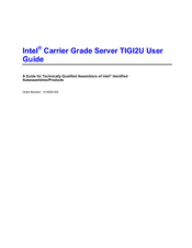 Intel TIGI2U - Carrier Grade Server User Manual