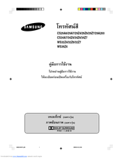 Samsung WS36Z4 Manual